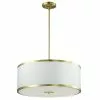 Dainolite Zuri Pendant Light - 4-Light - 20-in X 8.5-in - Aged Brass/White