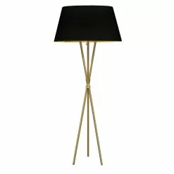 Dainolite Gabriela Floor Lamp - 1-Light - 60.5-in - Aged Brass/Black