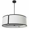Dainolite Notched Drum Pendant Light - 3-Light - 24-in X 8-in - Matte Black 1 Dainolite Notched Drum Pendant Light - 3-Light - 24-in X 8-in - Matte Black -Dainolite Shop 330730813 MainImage 001