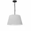 Dainolite Brynn Pendant Light - 1-Light - 10.5-in X 7-in - Black -Dainolite Shop 330733631 MainImage 001