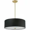 Dainolite Everly Pendant Light - 4-Light - 20-in X 5-in - Aged Brass/Black -Dainolite Shop 330733758 MainImage 001