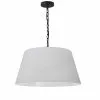 Dainolite Brynn Pendant Light - 1-Light - 15-in X 10-in - Black -Dainolite Shop 330733783 MainImage 001