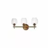 Dainolite Abii Vanity Light - 3-Light - 18.2-in - Vintage Bronze And Clear Glass