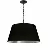 Dainolite Brynn Pendant Light - 1-Light - 20-in X 10-in - Black And Silver 1 Dainolite Brynn Pendant Light - 1-Light - 20-in X 10-in - Black And Silver -Dainolite Shop 330733927 MainImage 001