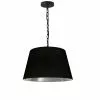 Dainolite Brynn Pendant Light - 1-Light - 14-in X 7-in - Black And Silver