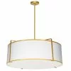 Dainolite Trapazoid Pendant Light - 4-Light - 24-in X 10-in - Gold