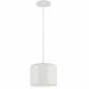 Dainolite Emilia Transitional Matte White 8-in Pendant Light