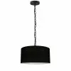 Dainolite Braxton Transitional Black 14-in Pendant Light -Dainolite Shop 330844854 MainImage 001