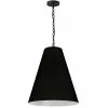 Dainolite Anaya Transitional Drum 20-in Black Pendant Light