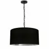 Dainolite Braxton Transitional Black And Silver 20-in Pendant Light