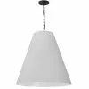 Dainolite Anaya Transitional White And Matte Black 26-in Pendant Light -Dainolite Shop 330845187 MainImage 001