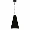 Dainolite Anaya Transitional Black 12-in Pendant Light