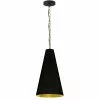 Dainolite Anaya Transitional Drum Black And Gold 12-in Pendant Light