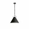 Dainolite Princeton 16-in Black 1-Light Modern/Contemporary Kitchen Island Light -Dainolite Shop 331051856 MainImage 001