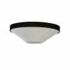 Dainolite Pietra 21-in Black Contemporary/Modern LED Flush Mount Light -Dainolite Shop 331052001 MainImage 001