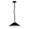 Dainolite Presley 20-in Black 1-Light Transitional Kitchen Island Light -Dainolite Shop 331052004 MainImage 001