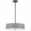 Dainolite Everly 20-in Grey 4-Light Transitional Pendant Light 2 Dainolite Everly 20-in Grey 4-Light Transitional Pendant Light -Dainolite Shop 331052212 MainImage 001